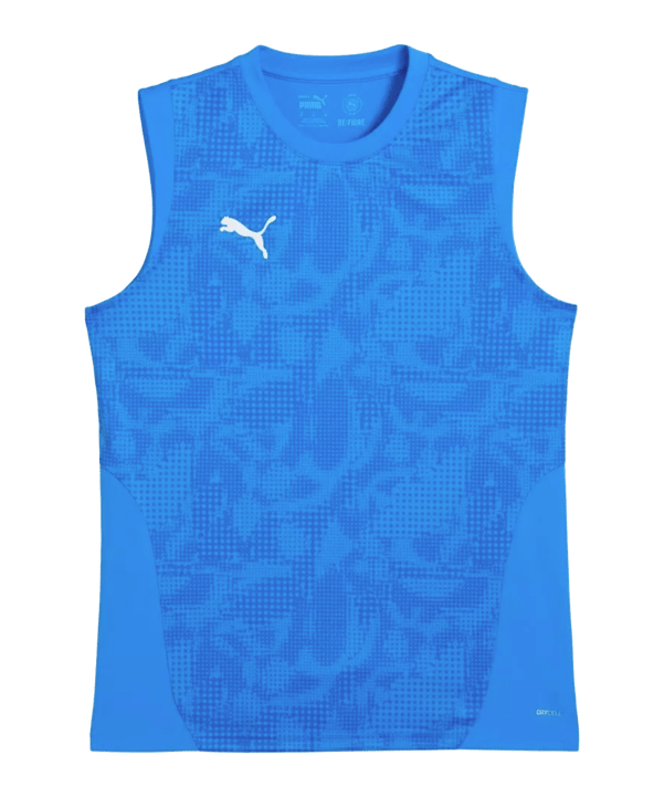 PUMA teamCUP Trikot Blau F02 