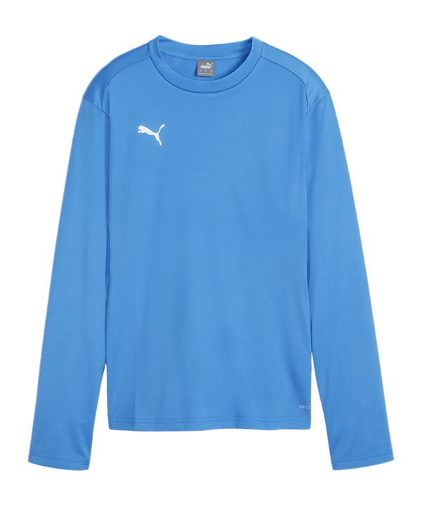 PUMA teamGOAL Training Sweatshirt Damen Blau F01