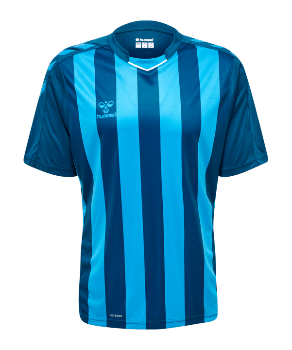 Hummel hmlCORE XK Striped Trikot Blau F7096