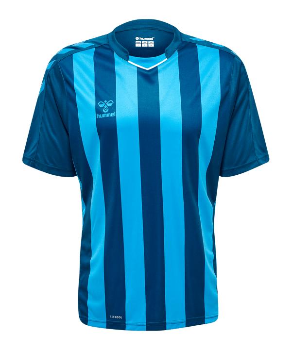 Hummel hmlCORE XK Striped Trikot Blau F7096