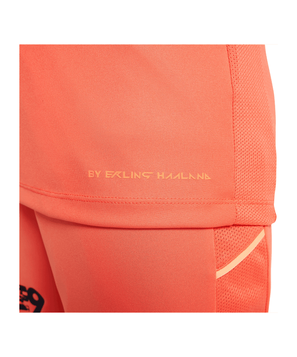 Nike Academy Erling Haaland Trainingshirt Kids Rot F643 - rot