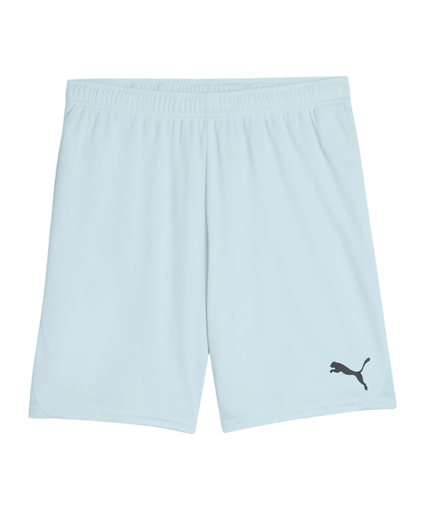 PUMA teamGOAL Short Blau F39 