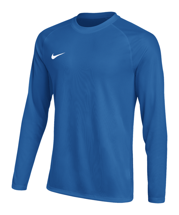 Nike Park VIII Trikot langarm Blau F463 
