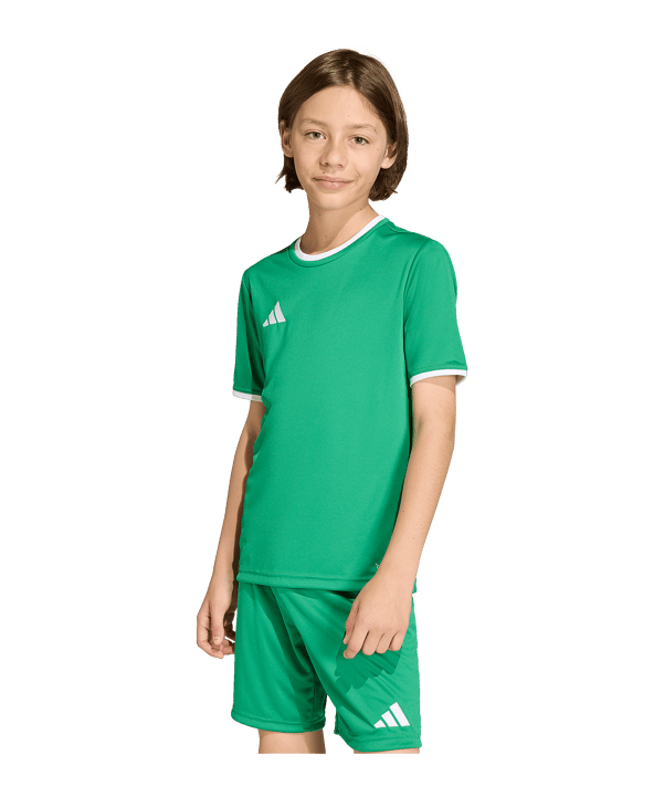 adidas Entrada 26 Trikot Kids Grün 