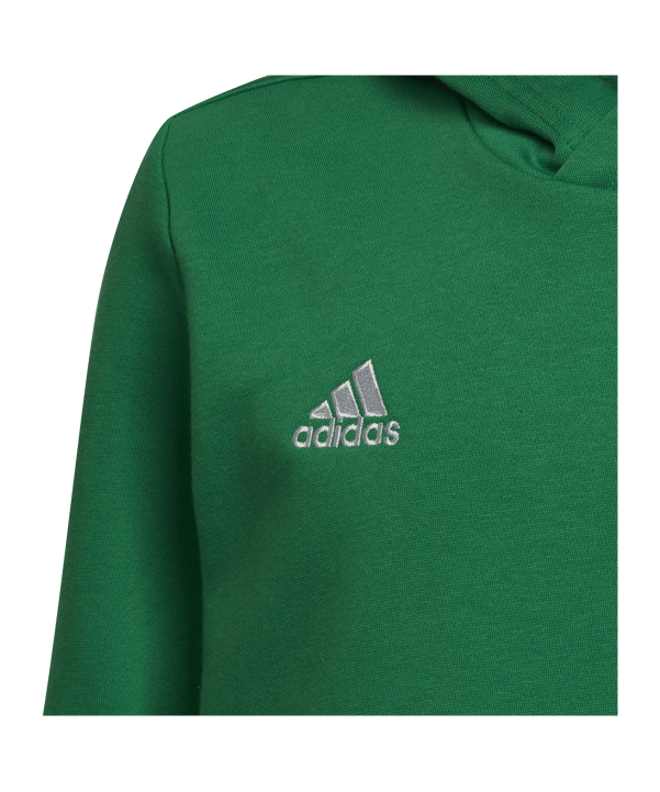 adidas Entrada 22 Hoody | Grün - gruen