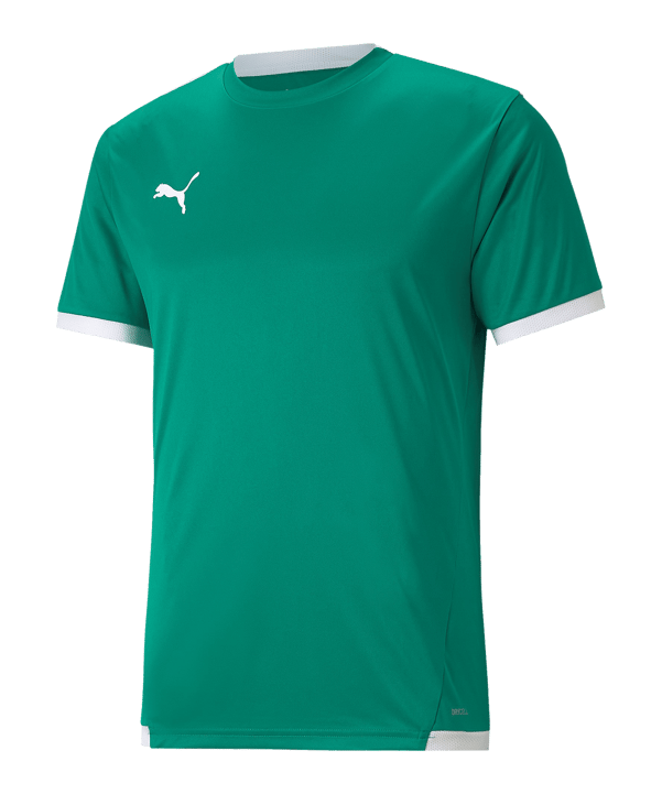 PUMA teamLIGA Trikot Grün F05
