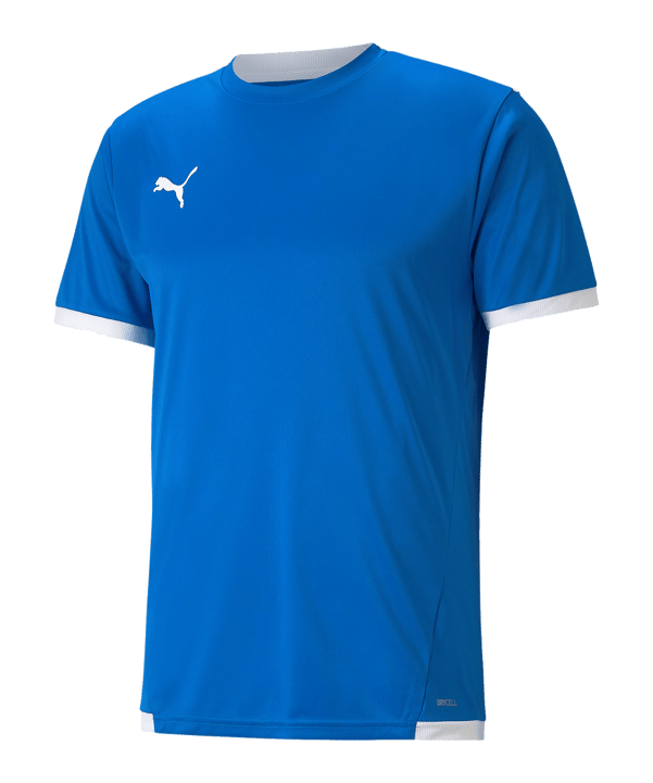 PUMA teamLIGA Trikot Blau F02 
