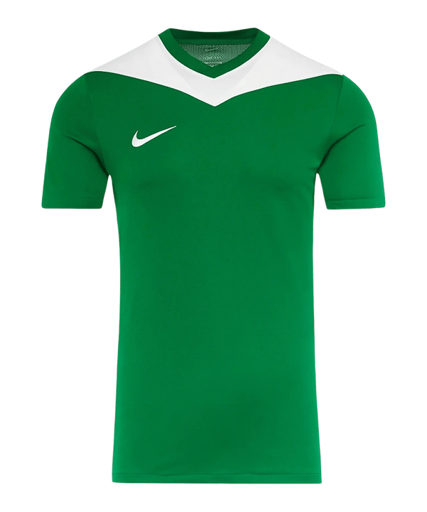 Nike Park Derby IV Trikot Grün F302