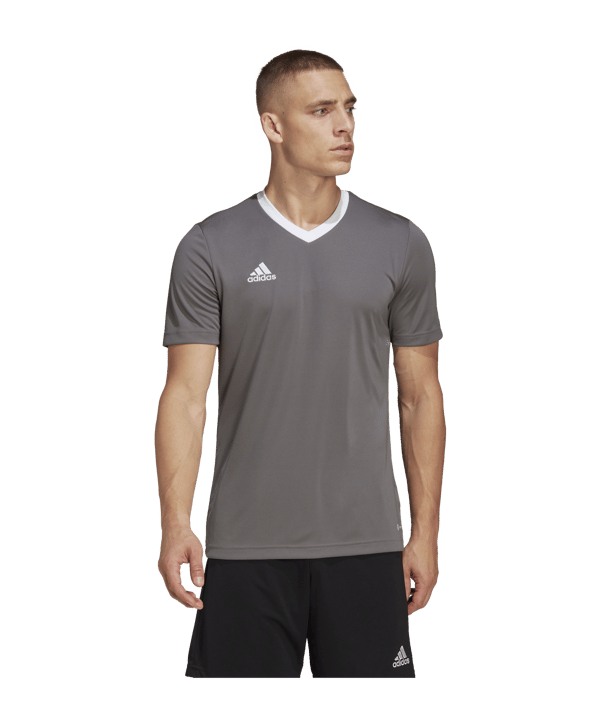 adidas Entrada 22 Trikot Grau Weiss - grau