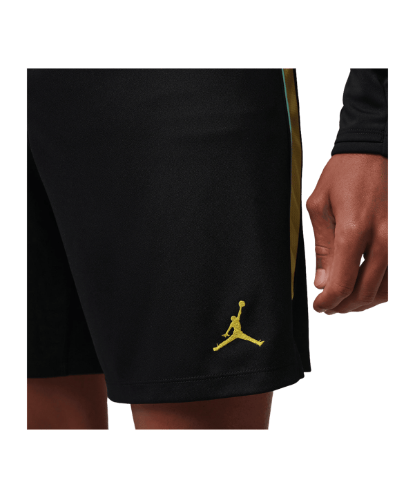 Nike CBF Brasilien Academy Pro Short Schwarz F010 - schwarz